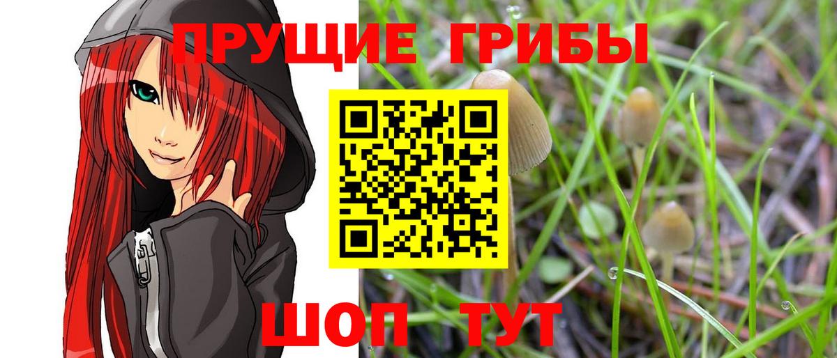 Орехово-Зуево  Псилоцибиновые грибы Cubensis  Псилоцибиновые грибы Psilocybe  Вход с VPN 