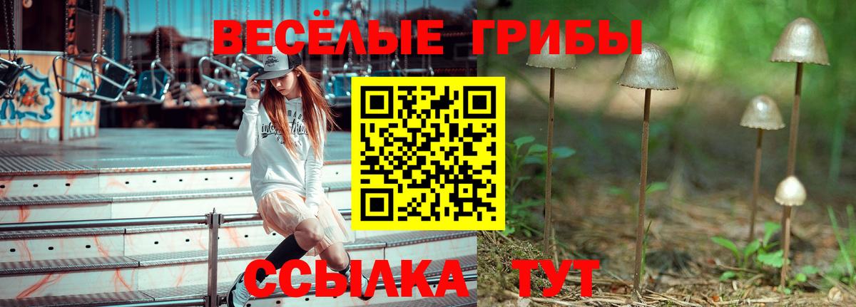 Галлюциногенные грибы Psilocybe Орехово-Зуево